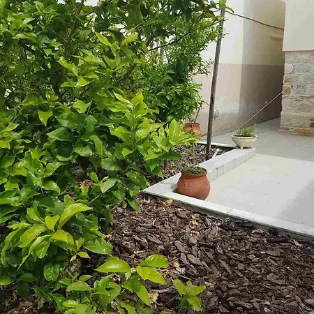 Mangoseaview Home1 Nea Roda Exterior photo