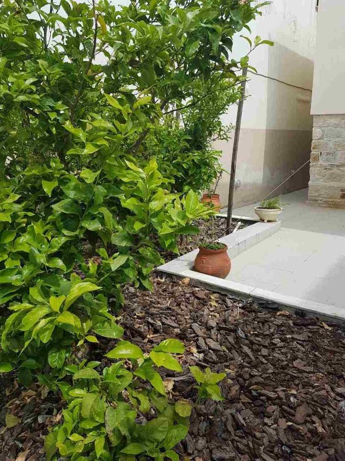Mangoseaview Home1 בית נופש
