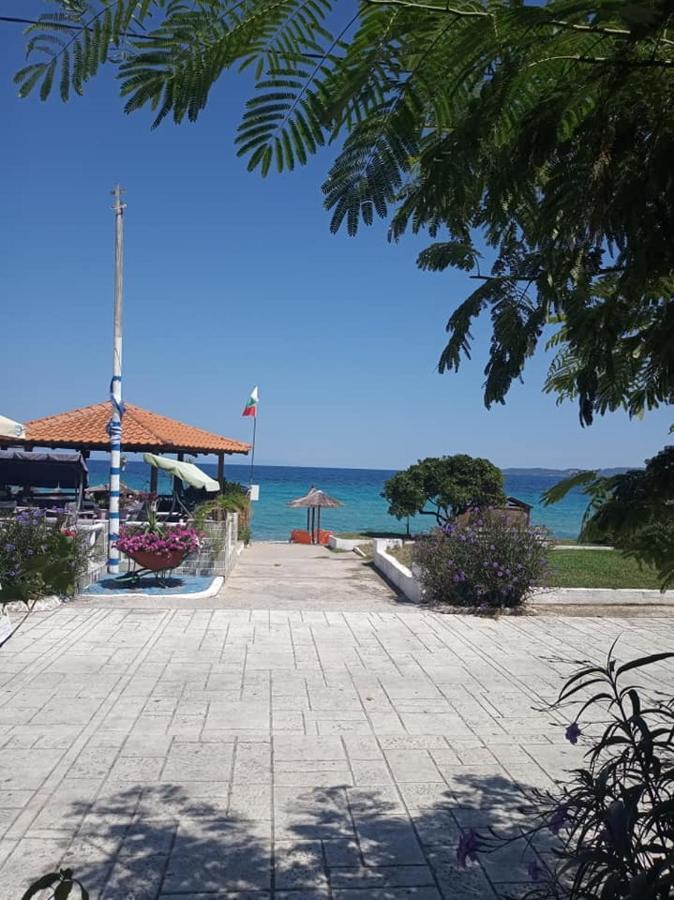 Mangoseaview Home1 *